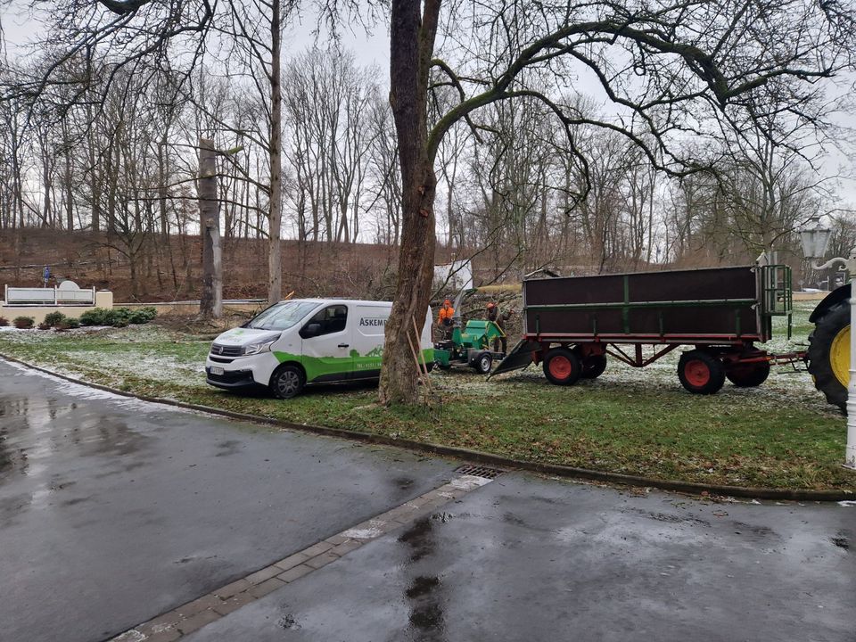 Baumfällung Baufeldräumung Hecken roden Sturmschäden in Werl