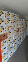 Bananen Kartons, top Zustand Nordrhein-Westfalen - Recklinghausen Vorschau