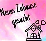 Suche Wohnung Ludwigslust - Landkreis - Ludwigslust Vorschau