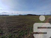 Landwirtschaftliche Fläche bei Münchberg / Meierhof Bayern - Münchberg Vorschau