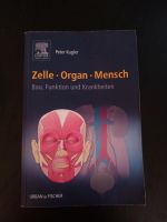 Zelle Organ Mensch Medizin Sachbuch Lernbuch München - Au-Haidhausen Vorschau