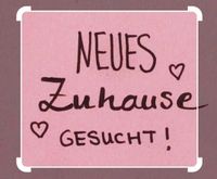 Suche 2 ZKB, 50 m2 Kaltmiete bis 380€ langfristig zu mieten Bayern - Pfarrkirchen Vorschau