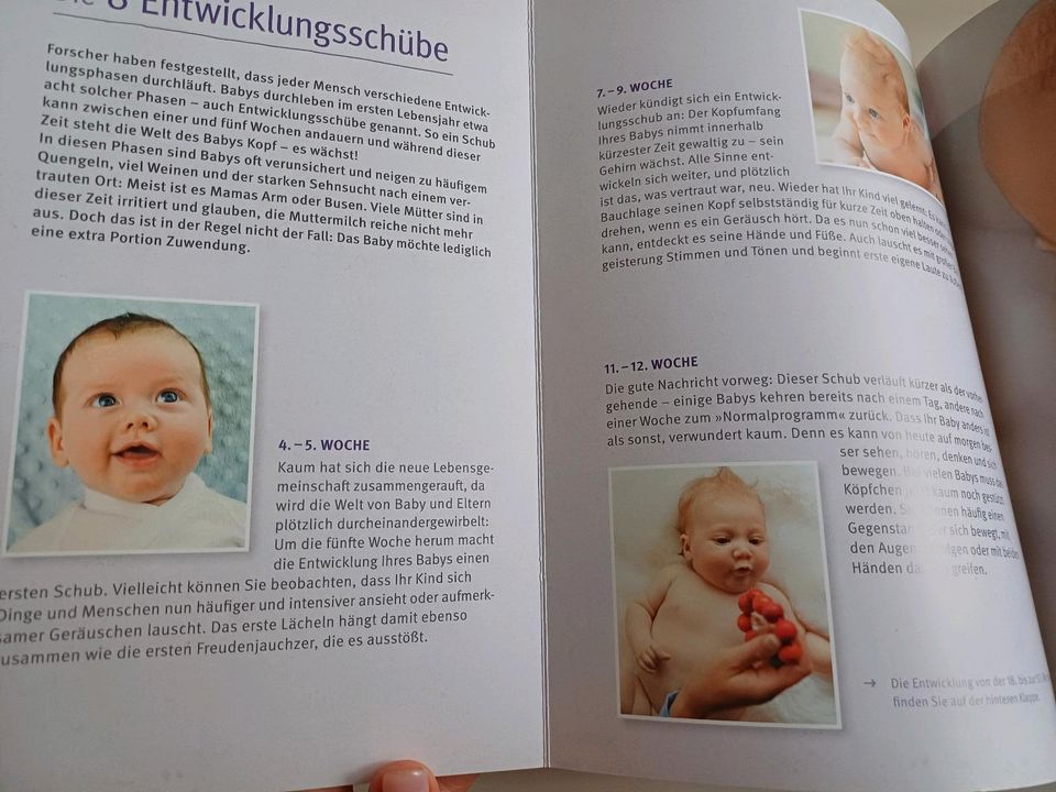 Das große GU Babybuch in Eggenstein-Leopoldshafen