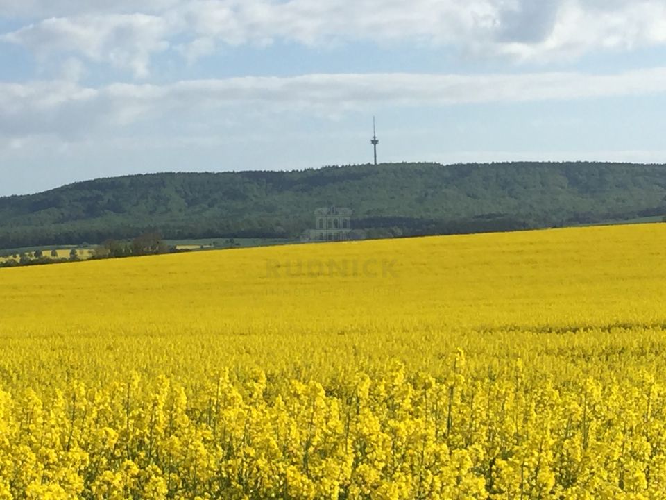 RUDNICK bietet NÄHE HEMMINGEN:  Fast bezugsfertiger Neubau mit Wärmepumpe, Photovoltaik ... in Ronnenberg