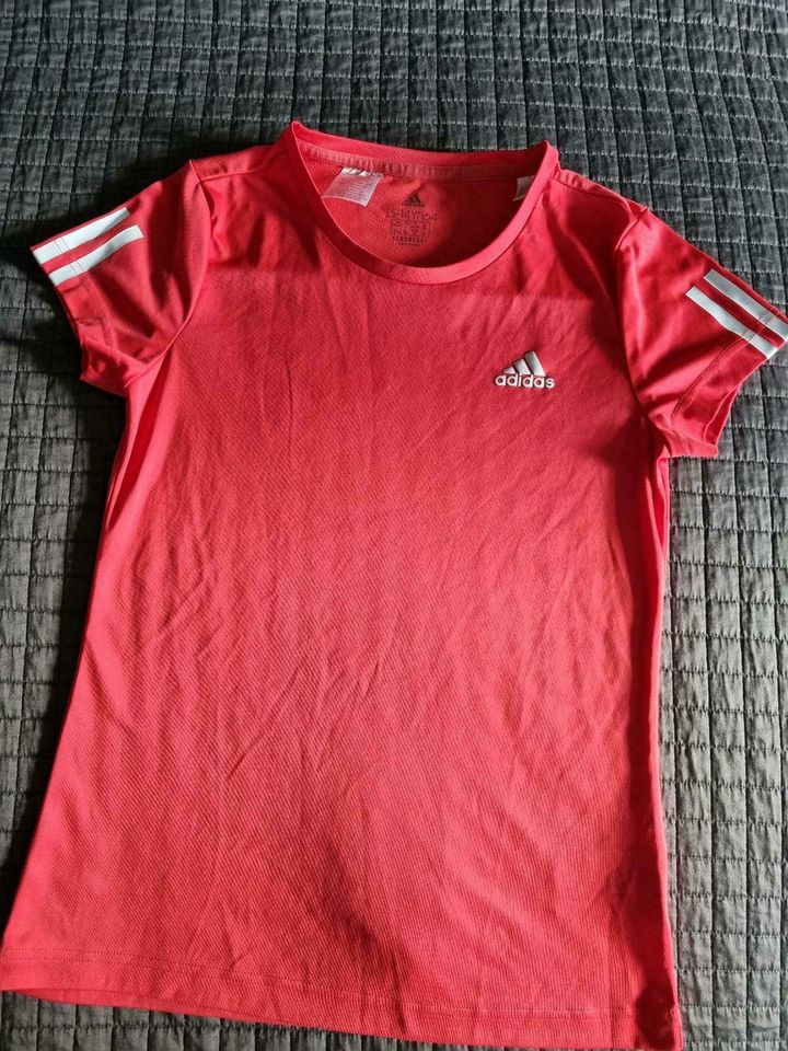 Shirt/Sportshirt Gr.164 Girls von Adidas in Leipzig