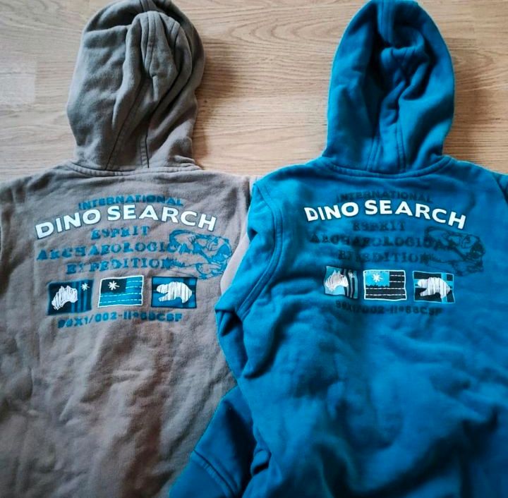 Esprit Dino Sweatshirt Jacke 2x 140 146 Mütze Pullover Set in Wittmund