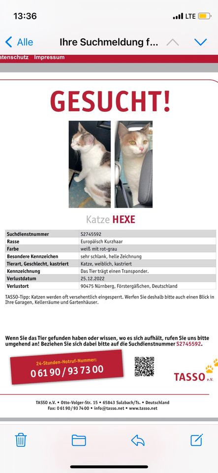 Katze vermisst / gesucht seit 25.12.2022 in Nürnberg (Mittelfr)