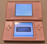 Nintendo DS lite Pink leichter Defekt Bergedorf - Hamburg Lohbrügge Vorschau