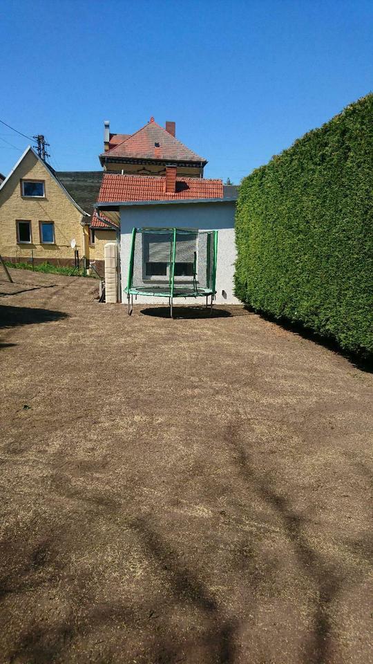 Baggerarbeiten, Vegetationspflege, Heckenentfernung, Heckenneupfl in Halle