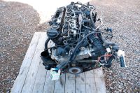 BMW Motor E90 F10 F01  N57D30A Komplett Hessen - Bad Hersfeld Vorschau