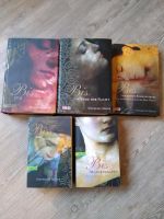 Twilight Saga, Biss , fünf Bücher Niedersachsen - Hesel Vorschau