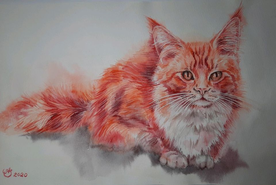 Aquarell Rote Maine Coon Katze Original Handarbeit in Saarbrücken