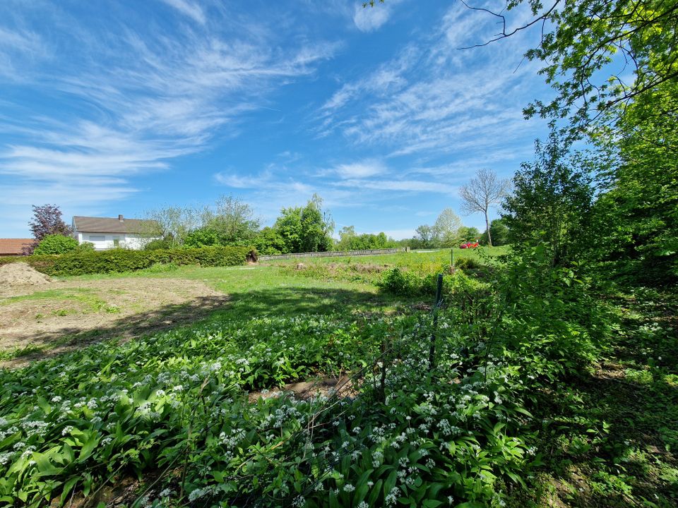 Großer Baugrund in wunderschöner Lage in Pfaffenhofen a.d. Ilm