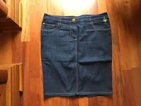 Armani Jeans Rock neu Gr DE 40 ( Ital.44) Sachsen - Freital Vorschau