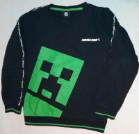 Minecraft Sweatshirt 125-135 cm, top Zustand Parchim - Landkreis - Parchim Vorschau