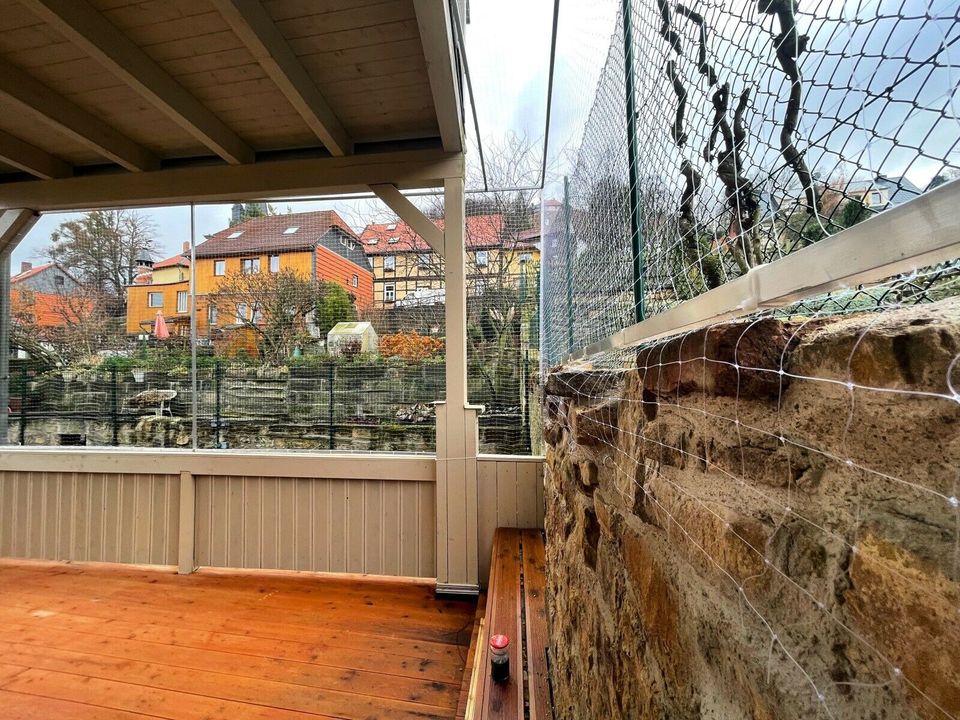 KATZENNETZ MONTAGE BALKON FENSTER I KATZENNETZE WOLFRAM I Leipzig in Leipzig