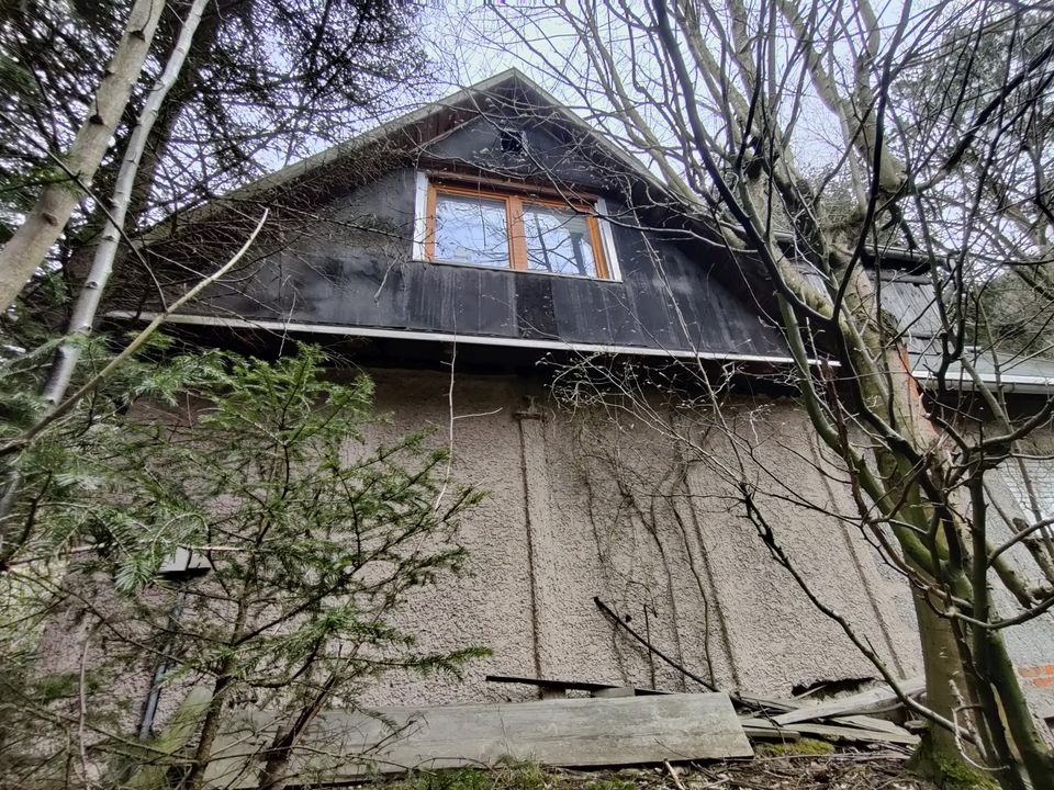 Großes naturbelassenes Grundstück in Sonneberg-Hüttensteinach in Sonneberg