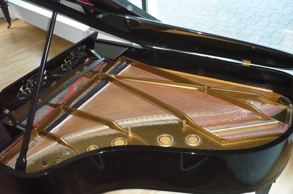 Märchenhaft schöner Steinway-Flügel in Freiburg im Breisgau