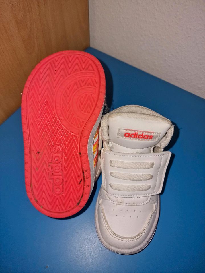 Adidas Schuhe, Mädchen, Größe 23 in Walldorf