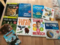 Kinderbücher, Bücher Set, Mc Donalds Reihe, Konvolut, Kids Bayern - Niederwerrn Vorschau