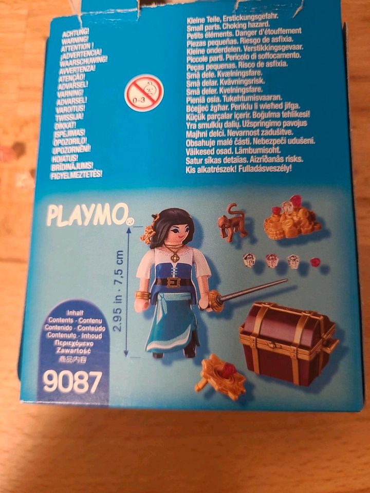 PLAYMOBIL 9087 Piratin mit Affe Neuwertig in Augsburg