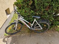 Fahrrad 26 Zoll München - Milbertshofen - Am Hart Vorschau