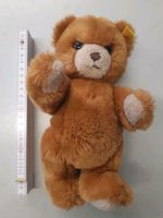 Teddy Steiff Knopf im Ohr Teddybär Nordrhein-Westfalen - Ochtrup Vorschau