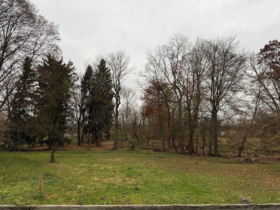 Grundstück in Jettingen-Scheppach - sofort bebaubar in Jettingen-Scheppach