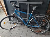 Herren Fahrrad 28 Zoll Niedersachsen - Winsen (Aller) Vorschau