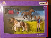 Schleich Set 42362 Pferdepflegerin mit Shettys Ilsenburg (Harz) - Darlingerode Vorschau