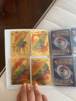Die ganze Pokemon Karten mit dem Buch Essen - Frillendorf Vorschau