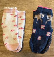 Sterntaler Fliesenflitzer Socken Gr 21-22 Pferde Glitzer Sachsen - Hohenstein-Ernstthal Vorschau