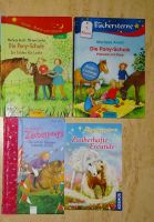 ♥ Die Pony Schule Die Reise mit den Zauberponys 5 Bücher Oetinger Brandenburg - Lübben Vorschau