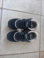 Geox Sneaker  neu, Gr 31, 17 Euro Leipzig - Plagwitz Vorschau