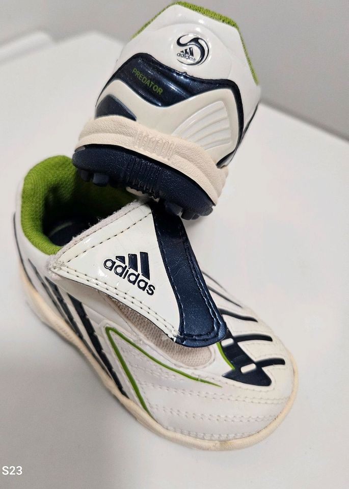 Adidas Predator Babyschuhe Gr.19 in Senden