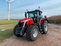 Massey Ferguson 8S.305 DVT Exclusive- neu - nur im PLZ 24*** Schleswig-Holstein - Böklund Vorschau