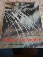 Kölner Tierwelt Buch vom Zoo Köln - Nippes Vorschau