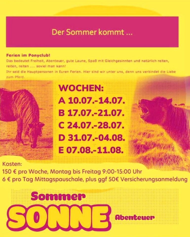 Reiten Ponyclub Abzeichenkurse in den Sommerferien 3 Restplätze in Gerstungen