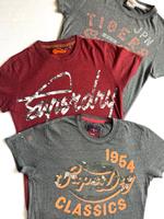 Superdry Herren Teenager 3 T-Shirts Gr S grau rot Shirt Wandsbek - Hamburg Volksdorf Vorschau