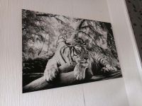 Tigerfoto auf Holz Nordrhein-Westfalen - Rheine Vorschau