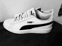 Puma Schuh weiß 38 Wuppertal - Elberfeld Vorschau