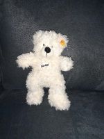 Steiff Teddy original mit Knopf im Ohr Niedersachsen - Bovenden Vorschau