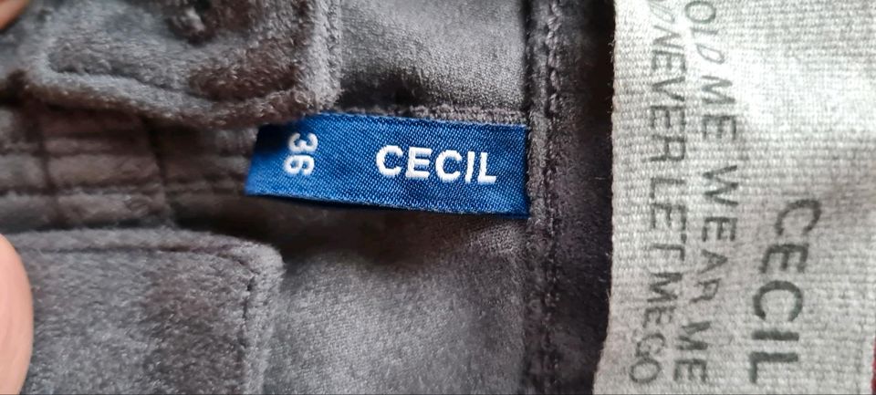 Cecil Inch 36/30 Länge Samt in Düren