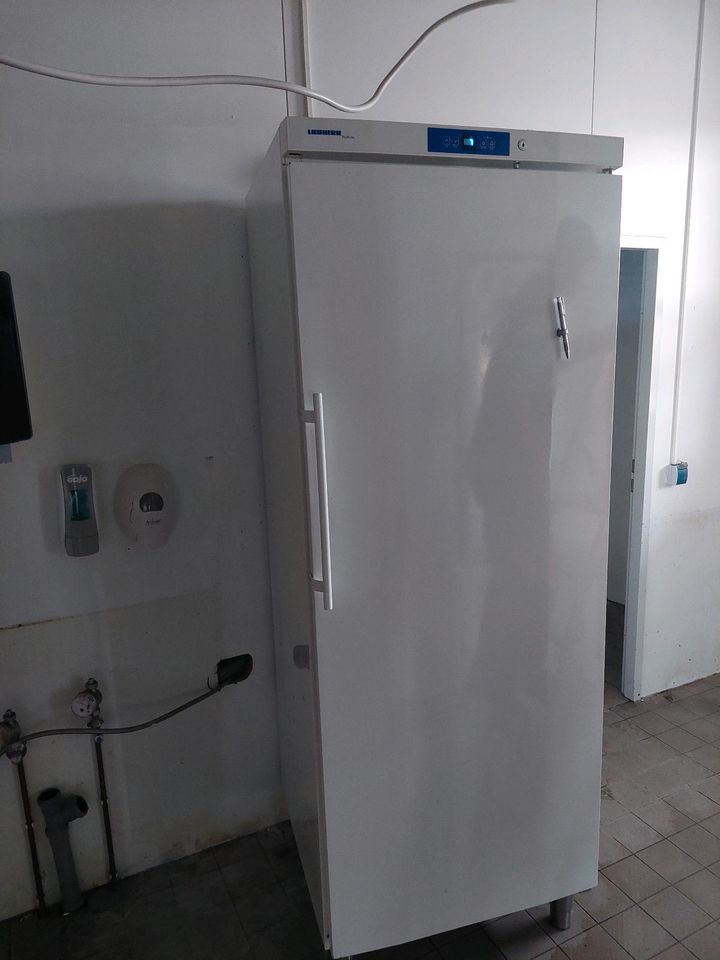 Gastro Kühlschränke in Edertal