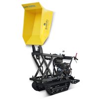 BAMATO Mini Raupendumper MTR-550PROL mit Liftfunktion Rheinland-Pfalz - Grünstadt Vorschau