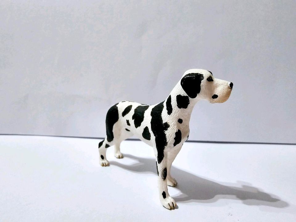 Deutsche Dogge Schleich Neuwertig in Darmstadt