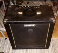 GUYATONE Vintage Bass Combo Verstärker Wandsbek - Hamburg Rahlstedt Vorschau