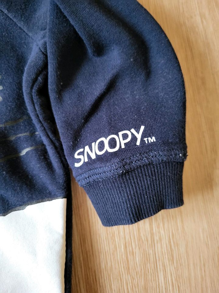 Pullover "Snoopy" vom H&M in Dittenheim