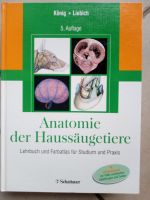 Lehrbuch Anatomie der Haussäugetiere, König + Liebig, Schattauer Hessen - Oestrich-Winkel Vorschau