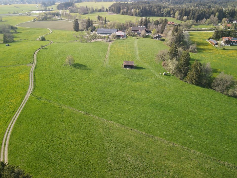 Ackerfläche oder Wiese zur Pacht Landwirtschaft in Peiting